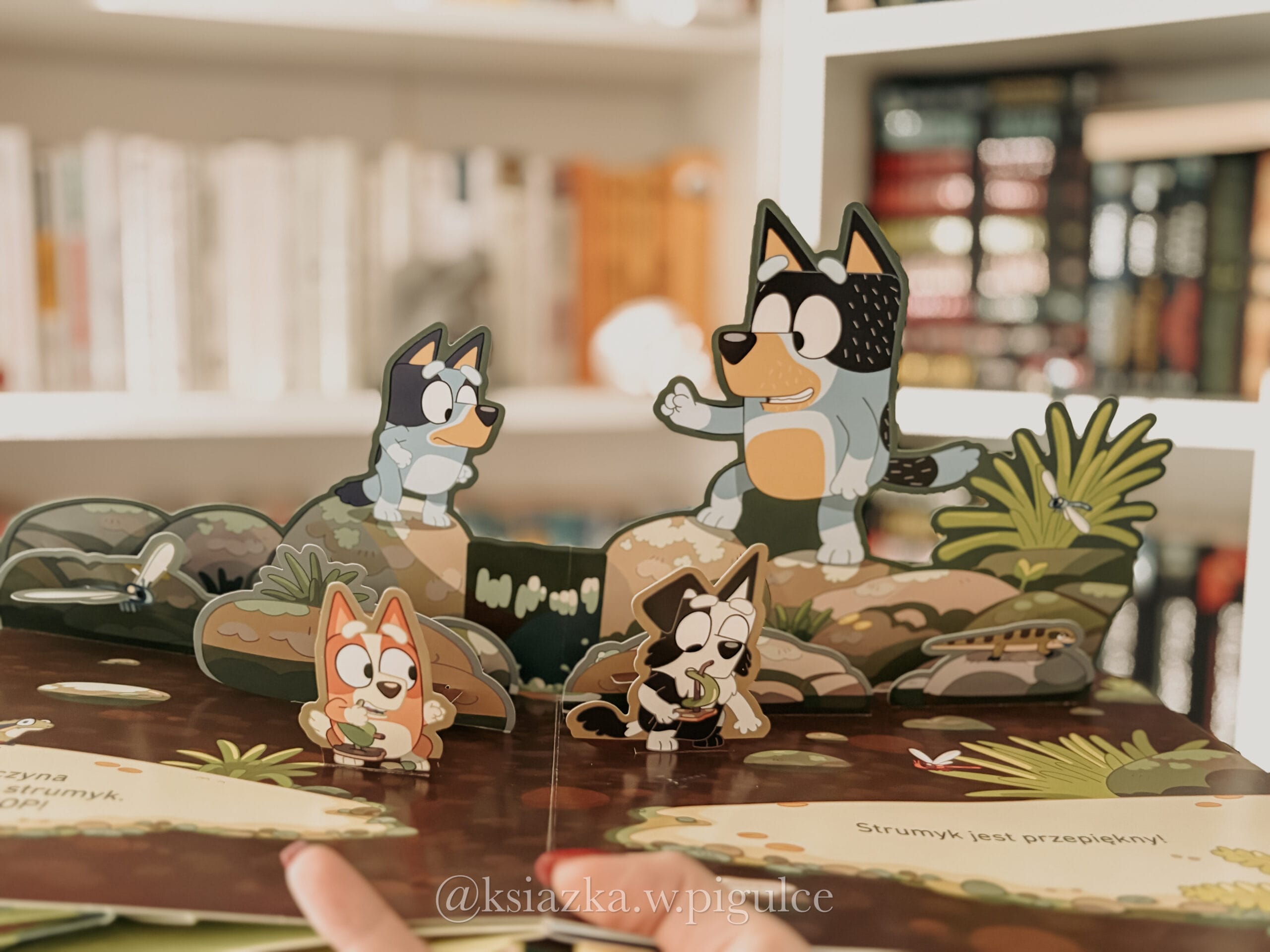 okładka książki blue