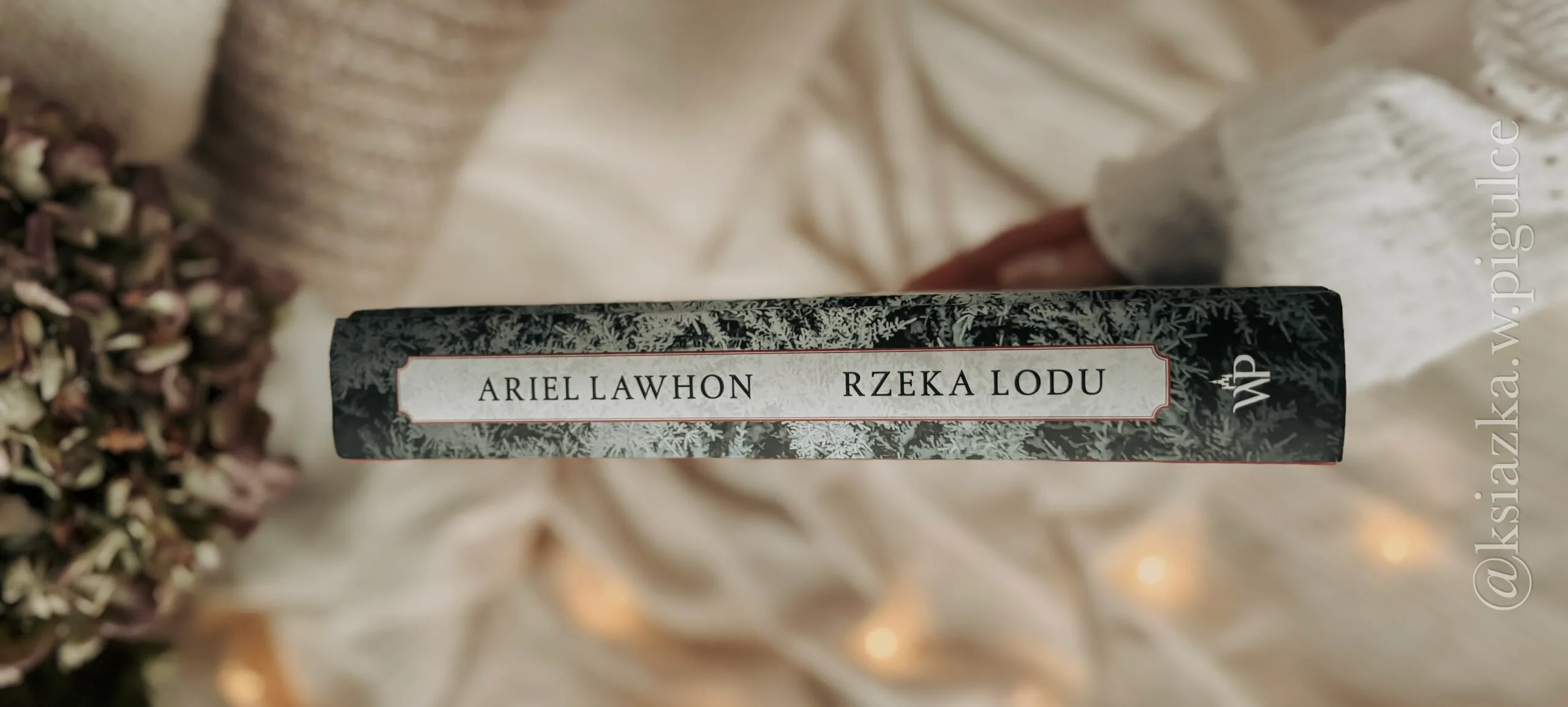 Okładka „Rzeka lodu” Ariel Lawhon