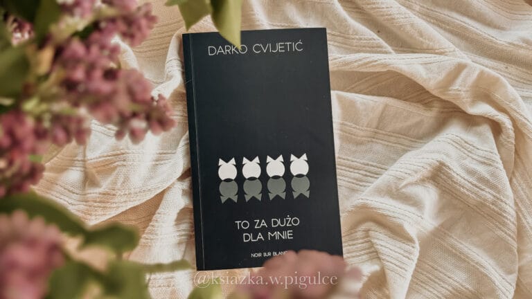 to za dużo dla mnie okładka